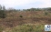 prueba de terreno