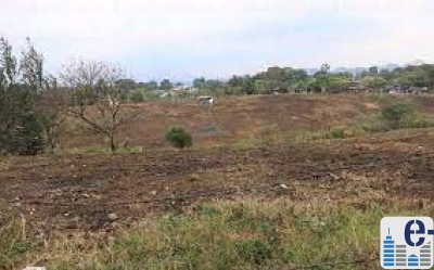 prueba de terreno